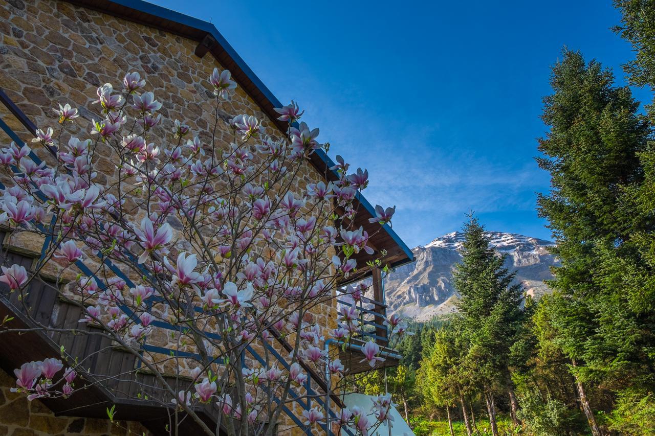 Orizontes Tzoumerkon Hotel Resort Pramanta Exteriör bild