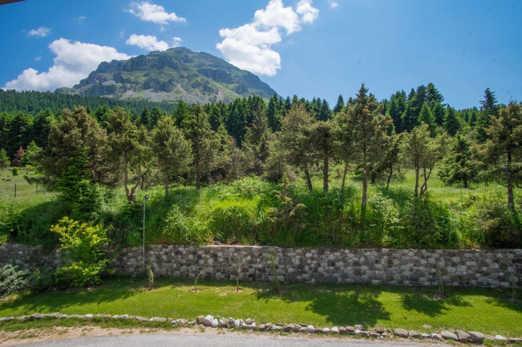 Orizontes Tzoumerkon Hotel Resort Pramanta Exteriör bild